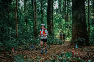 BIB: 
                            <button type="button" onclick="openModal(26129871)" class="btn btn-primary btn-sm float-right btn-popup" data-toggle="modal" data-target=".modal-high-quality">
                        <i class="fas fa-shopping-cart"></i> Add to Cart
                    </button>
                                            <button type="button" onclick="isThisMe(26129871, true)" class="btn btn-success btn-sm float-right btn-popup btn-isme hidden" data-toggle="tooltip" data-placement="bottom" title="นี่คือรูปของคุณใช่ไหม คลิกที่นี่เพื่อเอาเข้าอัลบั้ม">
                        <i class="fas fa-plus"></i> Add to album
                    </button>
                    <button type="button" onclick="isThisMe(26129871, false)" class="btn btn-warning btn-sm float-right btn-popup btn-isnotme hidden">
                        <i class="fas fa-ban"></i> Remove from album
                    </button>